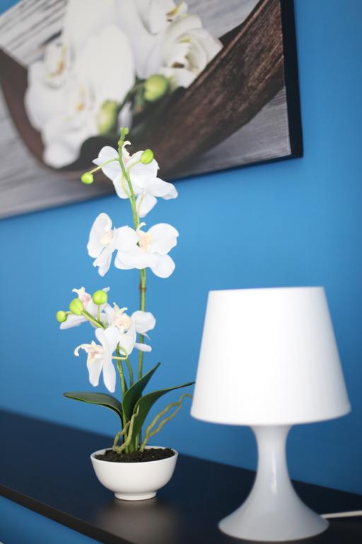Iris Room โรม ภายนอก รูปภาพ